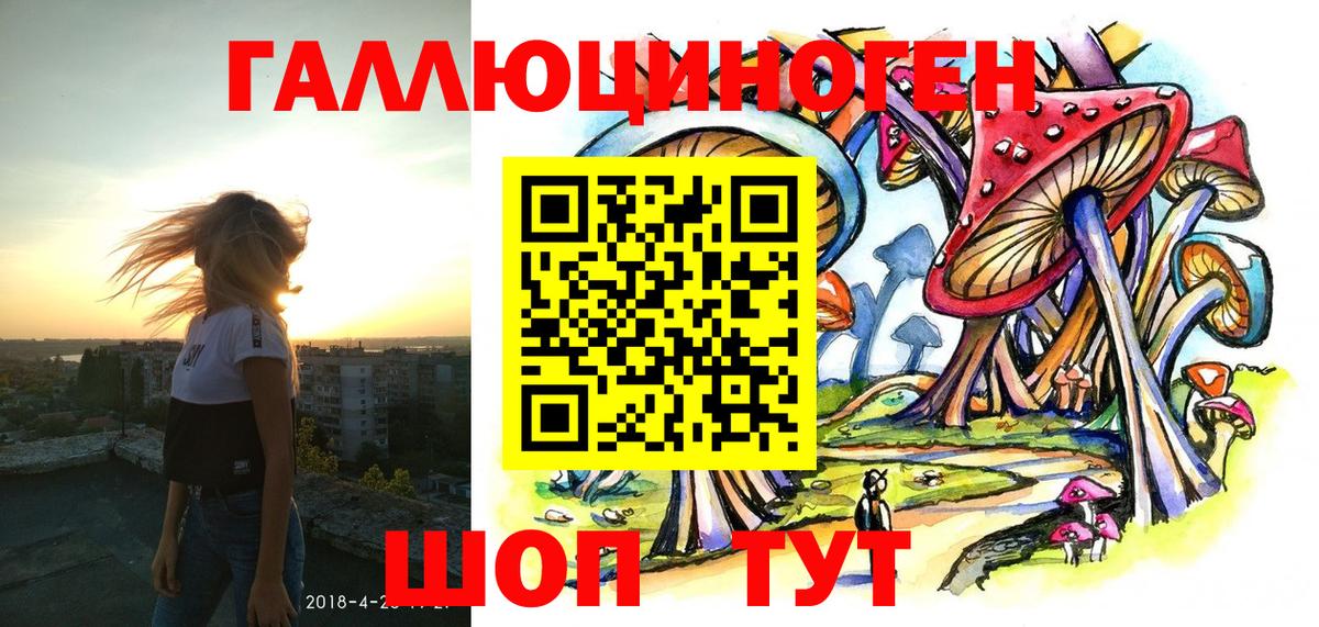 Партизанск  Псилоцибиновые грибы Psilocybe  Вход с VPN 