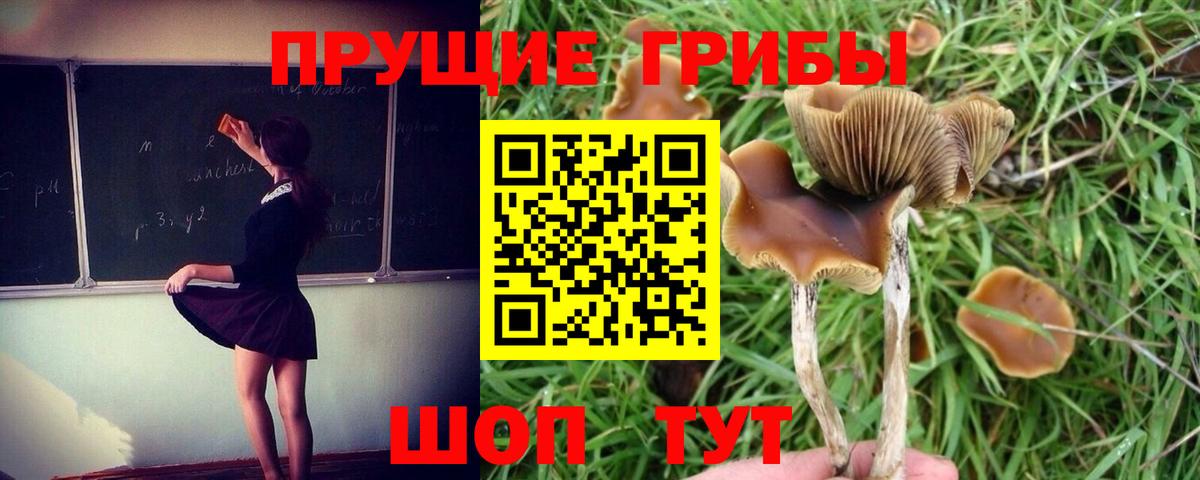 Галлюциногенные грибы мухоморы Партизанск